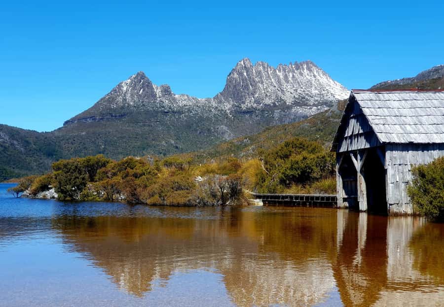 From Hobart: Active Day Trip to Cradle Mountain - Deloraine Breakfast at Mamma Buzz Café Before the Boots