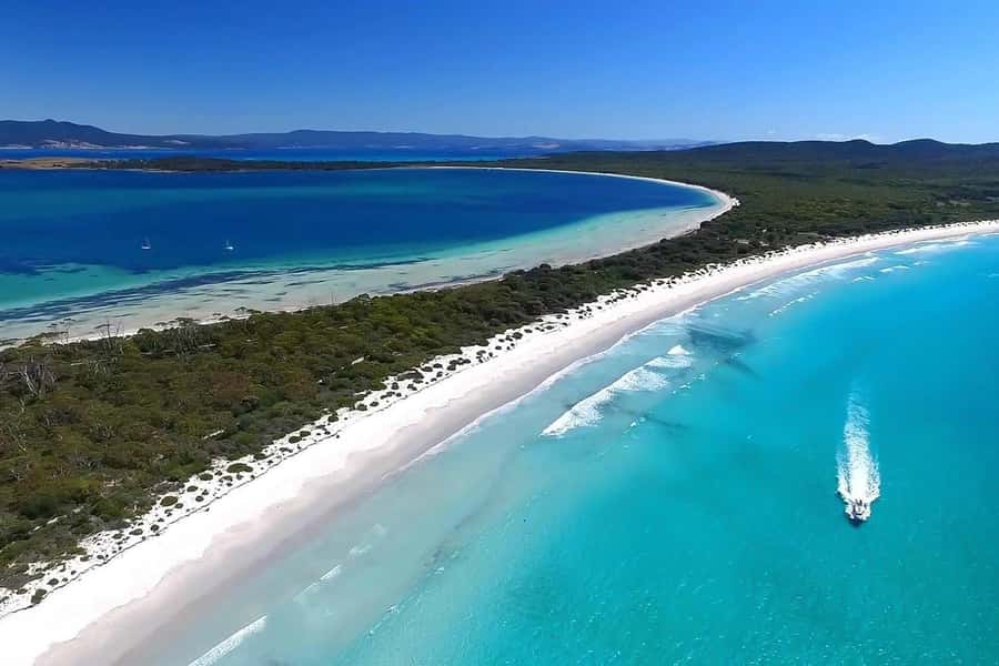 From Hobart: Day Tour to Maria Island with Bus Connection - From Brooke St Pier to Triabunna: getting set up for the day