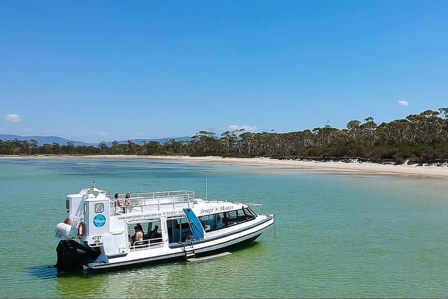 From Hobart: Day Tour to Maria Island with Bus Connection - Lunch anchored near the isthmus: why timing here is smart