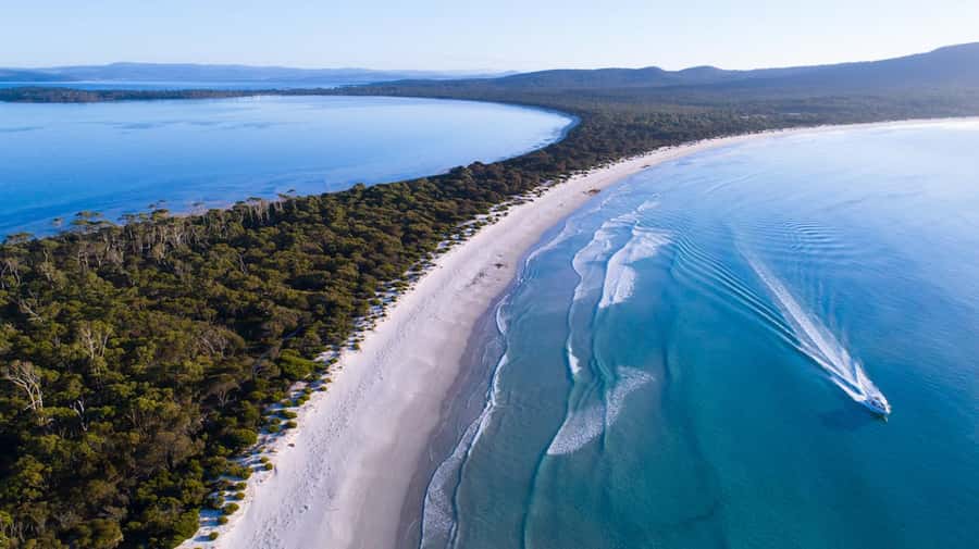 From Hobart: Day Tour to Maria Island with Bus Connection - How much time you get on Maria Island (and how to use it)