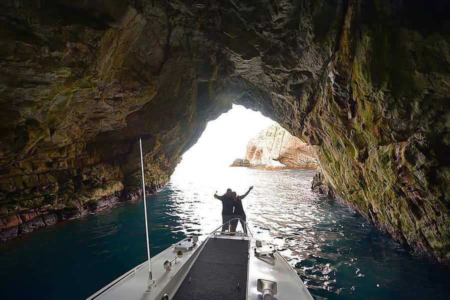 From Hobart: Day Tour to Maria Island with Bus Connection - Price and value: is $230 per person worth it?
