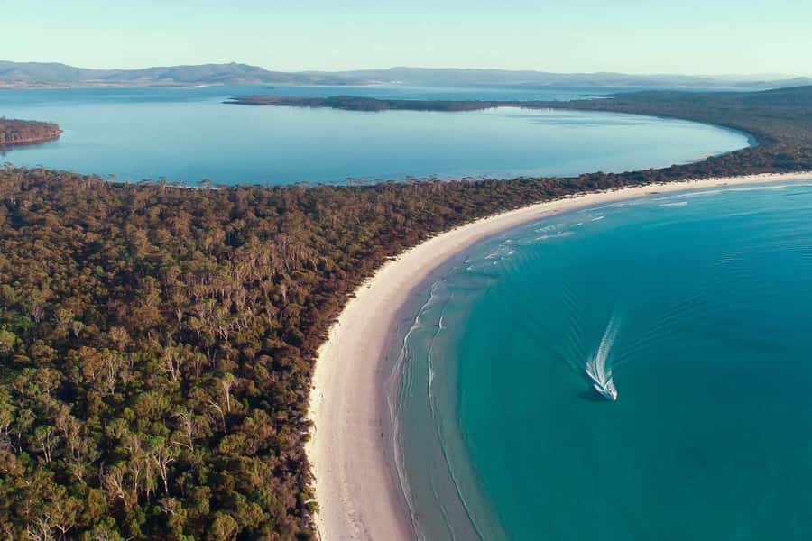 From Hobart: Day Tour to Maria Island with Bus Connection - The cruise part: seeing Maria Island without fighting ferry timetables