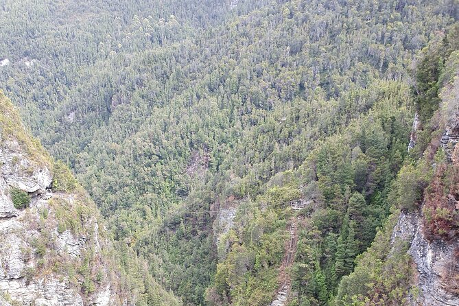 From Hobart: Gordon Dam and Lake Pedder Wilderness Day Tour - Walking the 140m Gordon Dam wall (and facing the gorge)