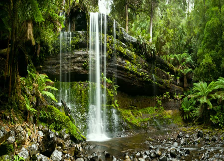 From Hobart: Mt. Field National Park and Russell Falls - Price and logistics: what $127 buys (and what it doesn’t)