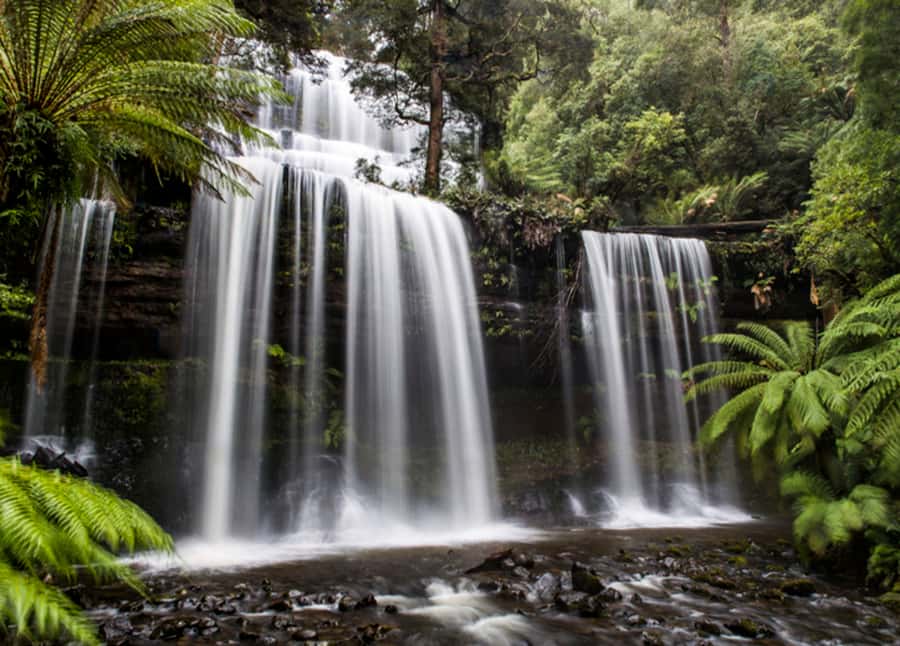 From Hobart: Mt. Field National Park and Russell Falls - New Norfolk (short and useful): a real break in the middle of the route