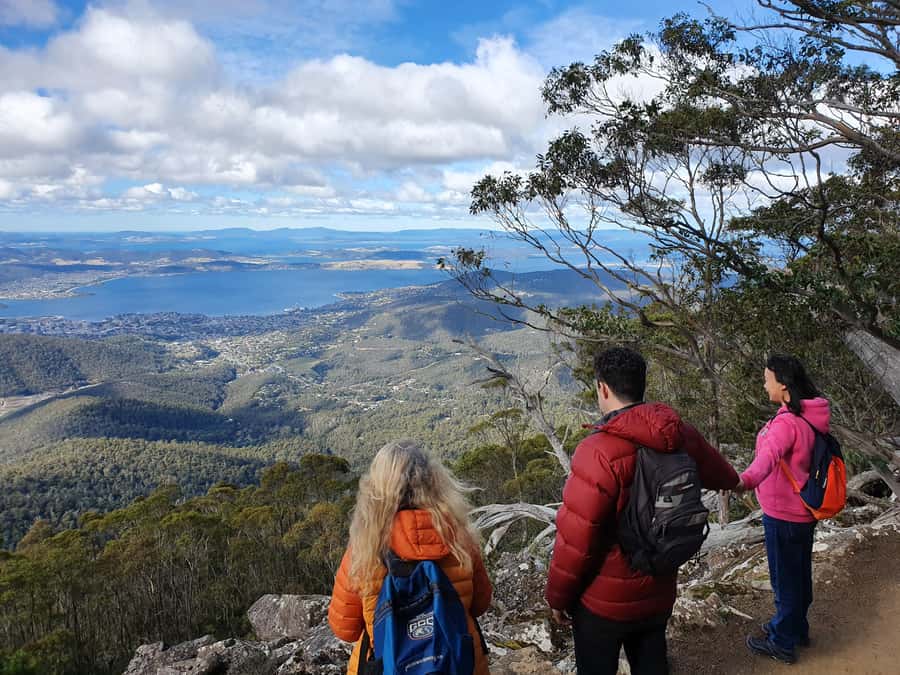 From Hobart: Mt Wellington Morning Walking Tour - Organ Pipes Track: 90 Minutes Under Dolerite Cliffs