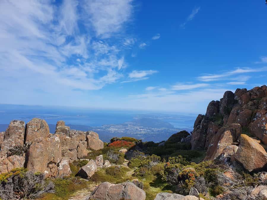 From Hobart: Mt Wellington Morning Walking Tour - Who This Tour Suits Best (and Who Might Want Another Option)