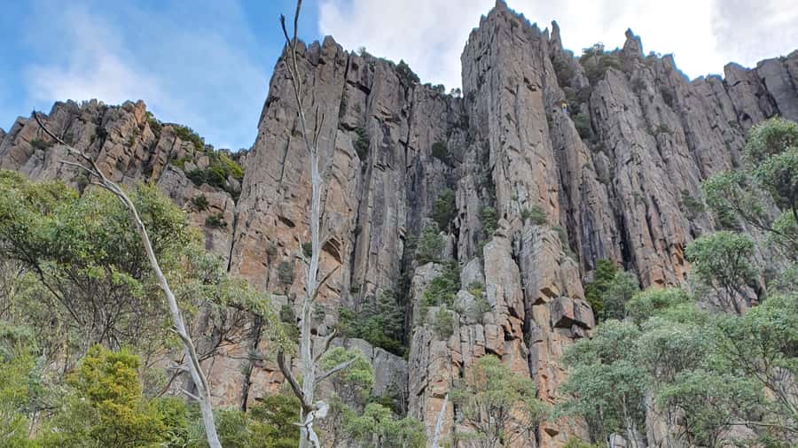 From Hobart: Mt Wellington Morning Walking Tour - Davey Street Pickup and the Scenic Ride to The Springs