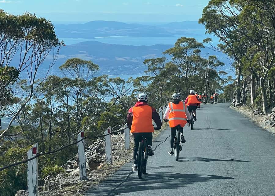 From Hobart: Mt Wellington Summit & Rainforest Bike Tour - Key Things I’d Bet You’ll Remember