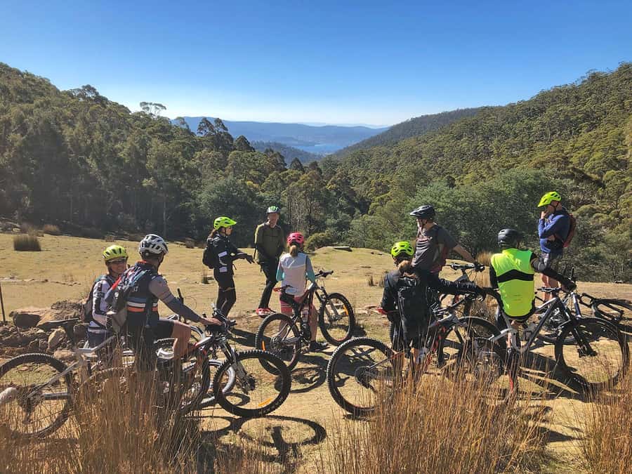 From Hobart: Mt Wellington Summit & Rainforest Bike Tour - Kunanyi / Mt Wellington: Summit 360° Views, Then That 6 km Downhill