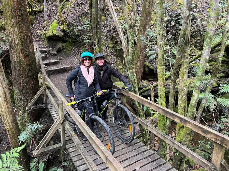 From Hobart: Mt Wellington Summit & Rainforest Bike Tour - The Rainforest Trail: 11 km of Ferns, Eucalyptus, Waterfall Stops, and Aqueduct Walk-Throughs