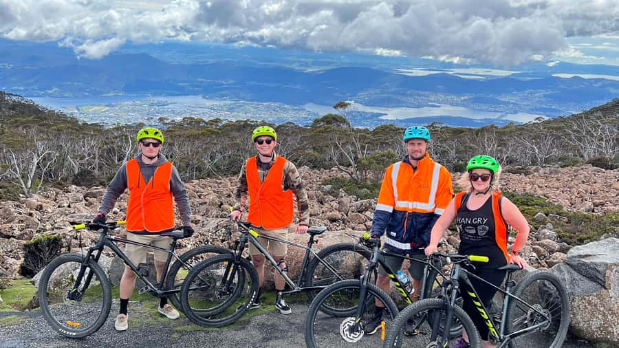From Hobart: Mt Wellington Summit & Rainforest Bike Tour - Wildlife Chances You Can Actually Feel Part Of