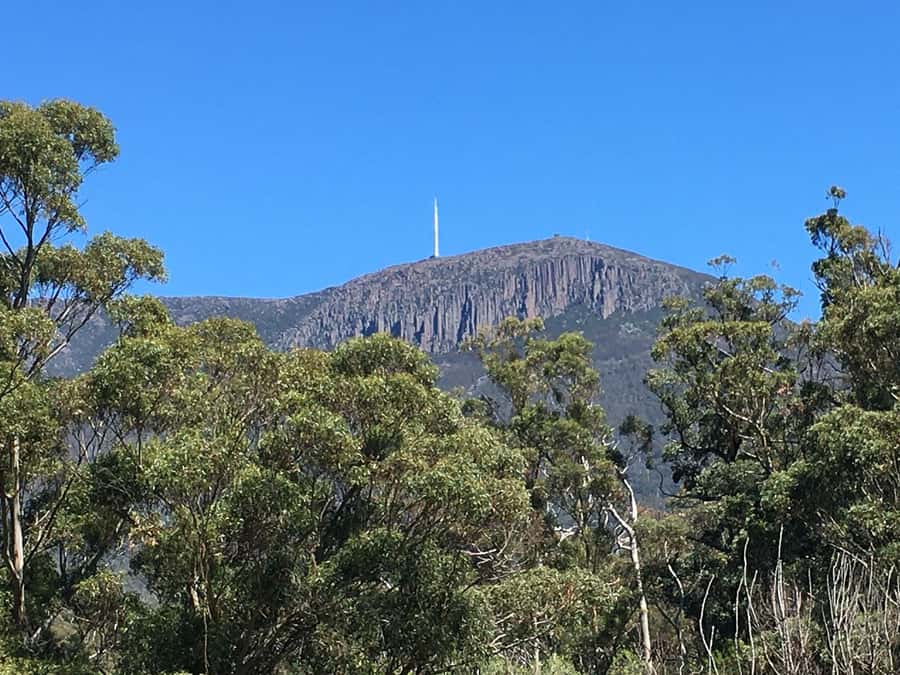 From Hobart: Mt Wellington Summit & Rainforest Bike Tour - What’s Included, What You’ll Need, and How to Dress for It