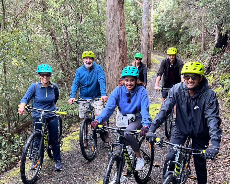 From Hobart: Mt Wellington Summit & Rainforest Bike Tour - Price and Value: Is $119 Worth It?