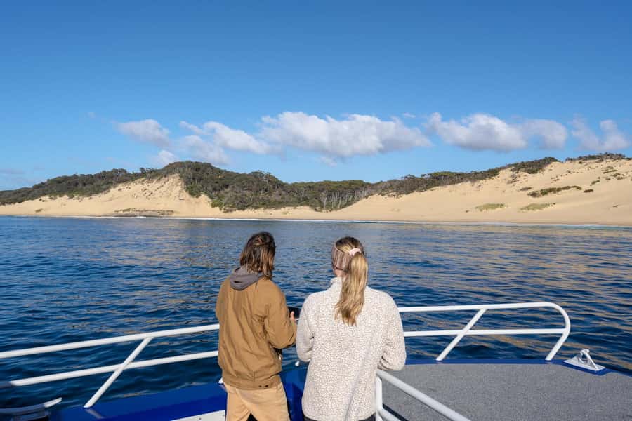 From Hobart: Port Arthur Cape Raoul Wilderness Cruise - Wildlife odds: seals, dolphins, whales, and seabirds