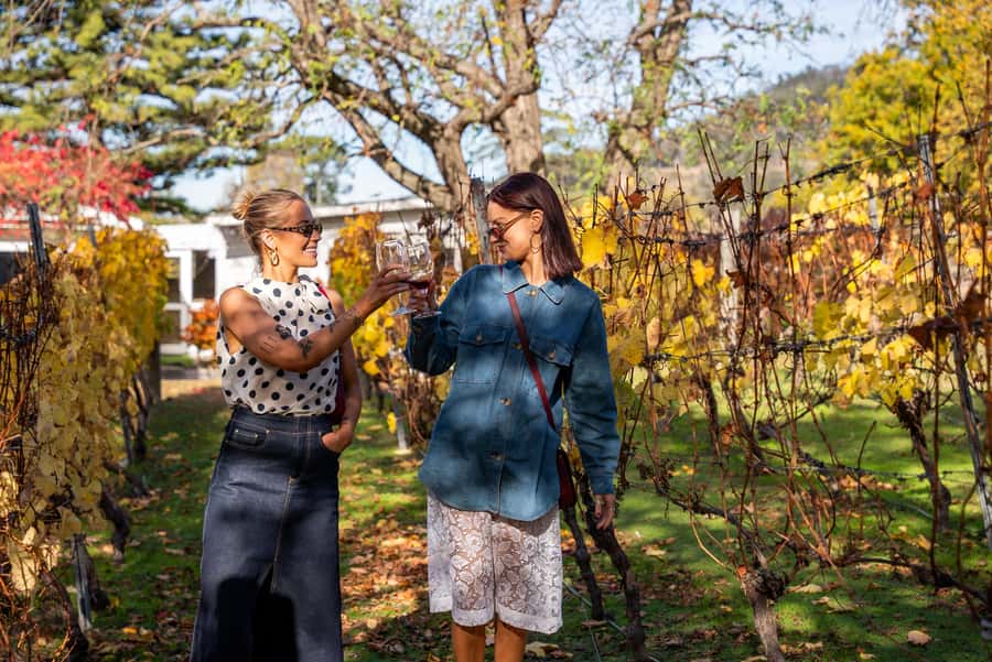 From Hobart: Tasmanian Wine Tour - Key highlights worth making room for