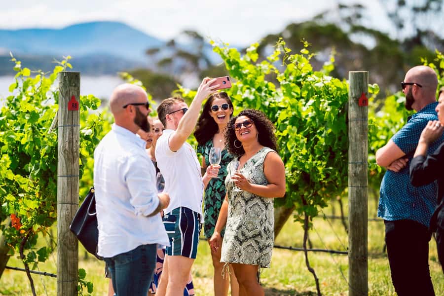 From Hobart: Tasmanian Wine Tour - Tastings, Vineyard Walks, and the Small Details That Make It Click