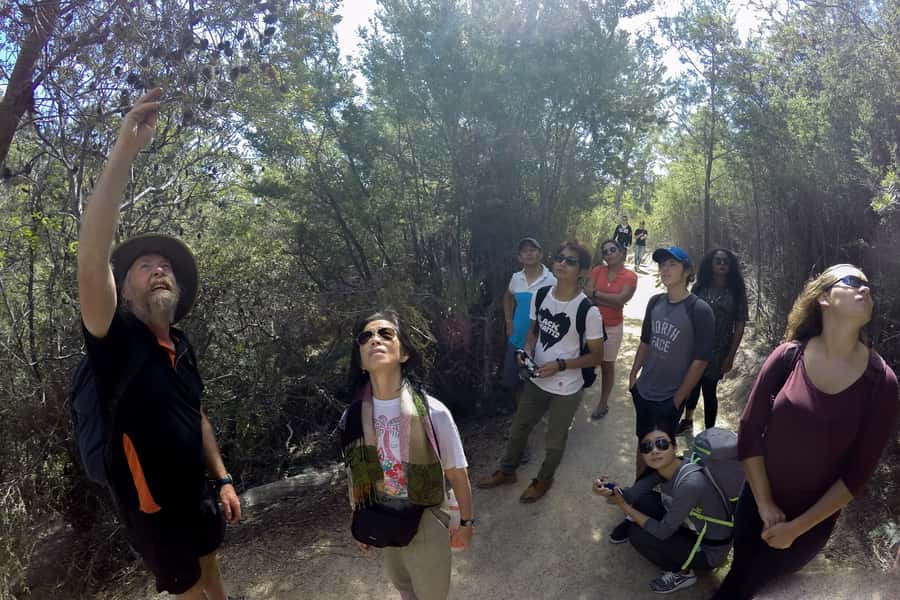 From Launceston: Full-Day Wineglass Bay Explorer Active Tour - Honeymoon Bay and Sleepy Bay: the perfect places to breathe and reset