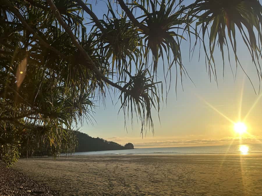 From Mackay: Wallabies on the Beach Sunrise Trip - Sunrise lookout time: turning movement into a moment