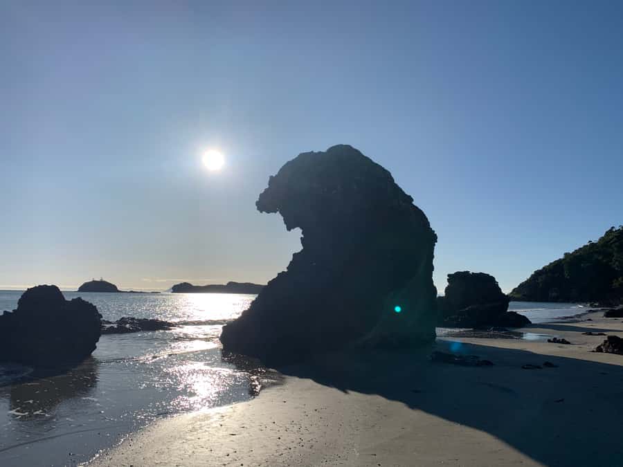 From Mackay: Wallabies on the Beach Sunrise Trip - Timing details: when it starts and why it changes
