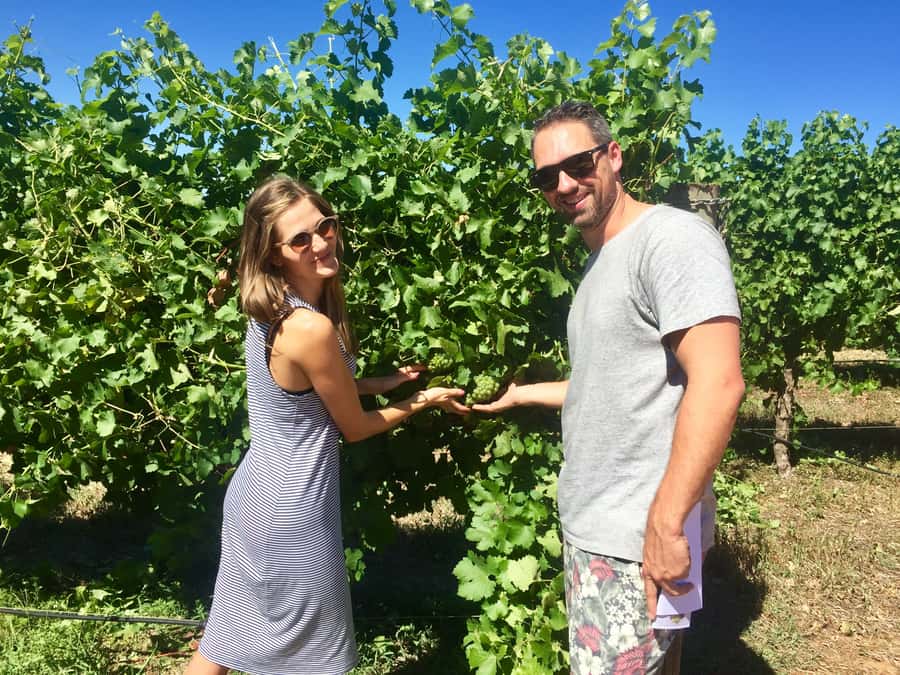 From Margaret River: Margaret River Wine Adventure - Logistics That Affect Your Day (More Than You Think)