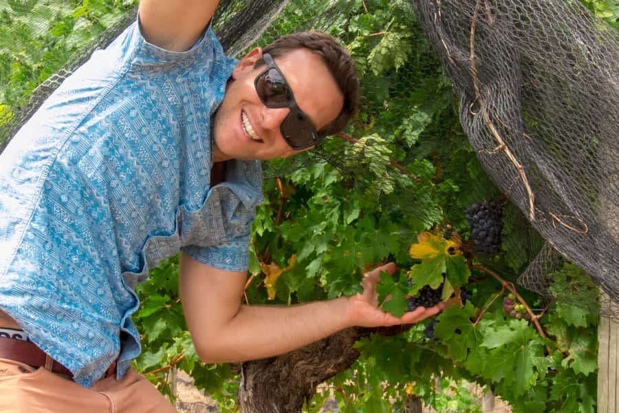 From Margaret River: Margaret River Wine Adventure - Three Boutique Wineries: The Margaret River Style You Get Here
