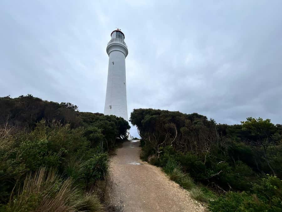 From Melbourne: 12 Apostles & Great Ocean Road Private Tour - Kennett River and Marriner’s Lookout: where spotting beats rushing