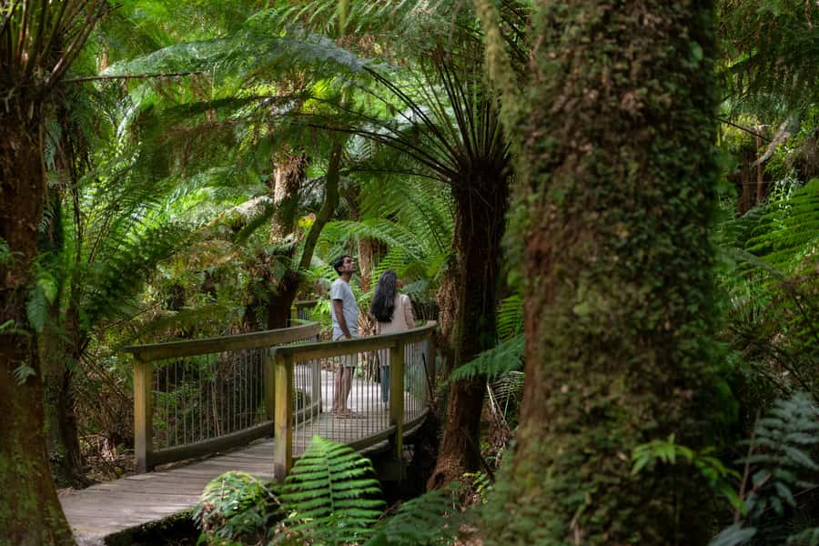 From Melbourne: 3-Day Great Ocean Road Grampians Tour - What this tour is best for (and who might want a different plan)
