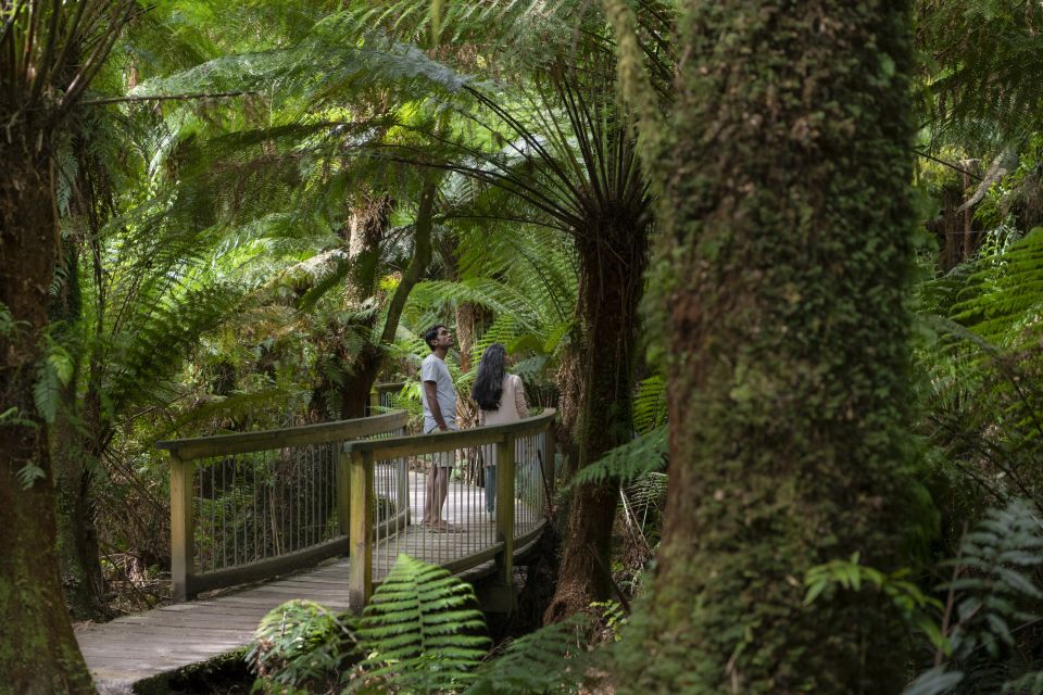 From Melbourne: 3-Day Great Ocean Road Grampians Tour - Day 3: Mackenzie Falls hike plus Reeds and Boroka lookouts back to Melbourne