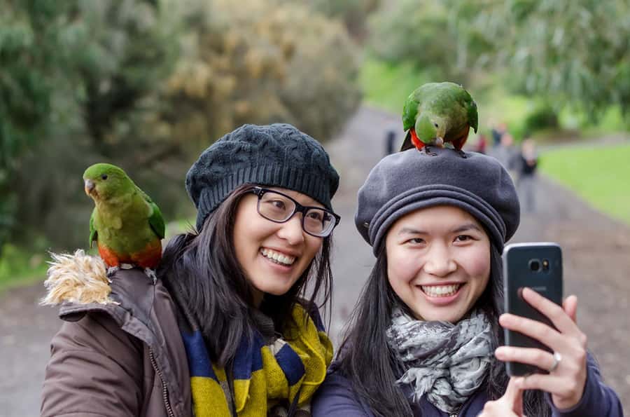From Melbourne: 3-Day Great Ocean Road Grampians Tour - Nature spotting: koalas, kangaroos, emus, and why timing helps