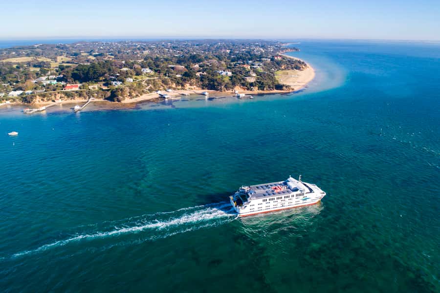 From Melbourne: Bay Sightseeing and Ferry Ride with Lunch - Key highlights at a glance