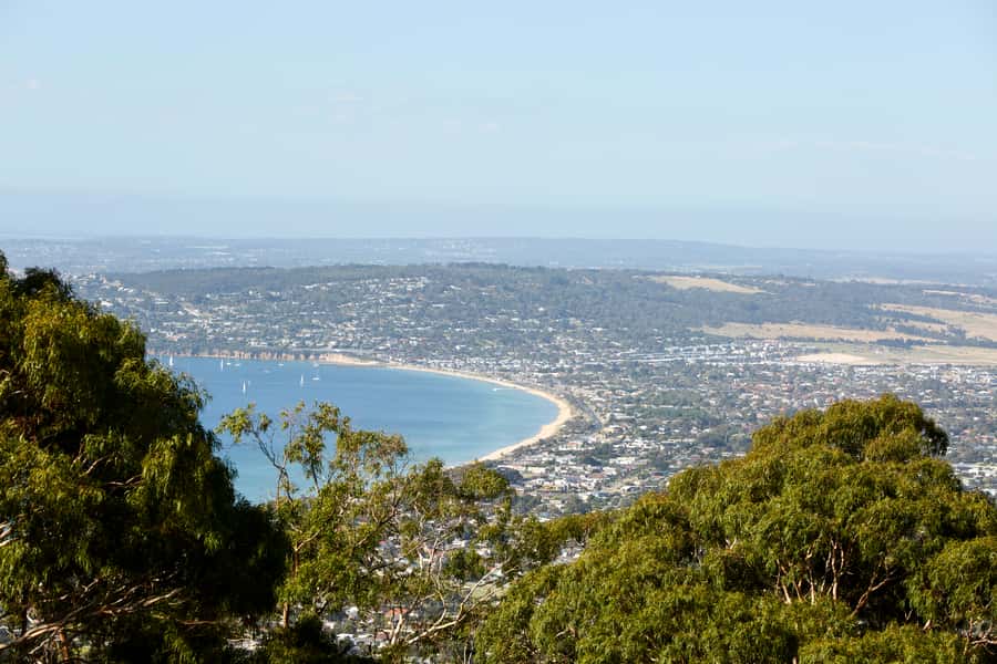 From Melbourne: Bay Sightseeing and Ferry Ride with Lunch - Queenscliff to Sorrento: the ferry ride that turns the day
