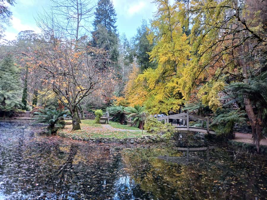 From Melbourne: Dandenong Ranges Private Day Tour - Alfred Nicholas Gardens: the Japanese lake garden you can actually enjoy slowly