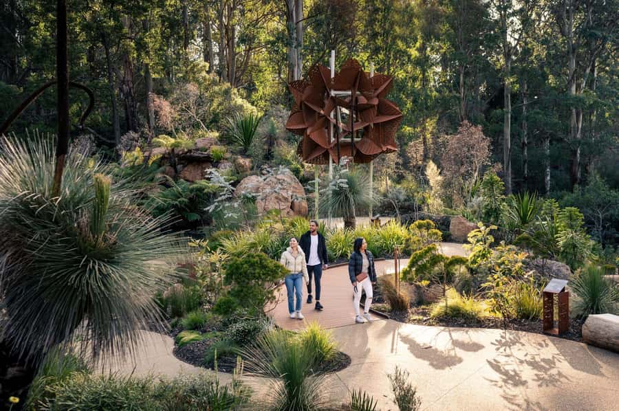 From Melbourne: Dandenong Ranges Private Day Tour - Why a private group of up to 7 changes everything