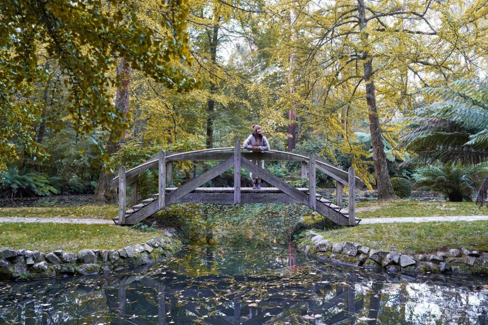 From Melbourne: Dandenong Ranges Private Day Tour - Price and value: what you’re really paying for