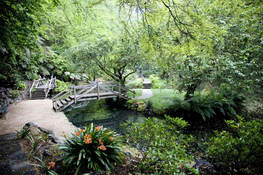 From Melbourne: Dandenong Ranges Private Day Tour - Picking up in Melbourne and shaping the day’s pace