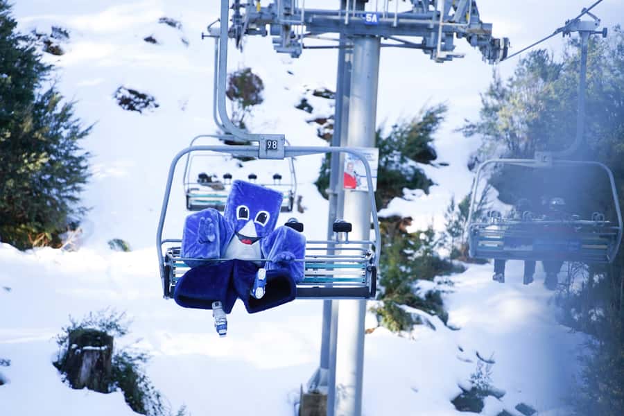 From Melbourne: Day Trip to Mt Buller by Premium Tour Coach - Key things to know before you go