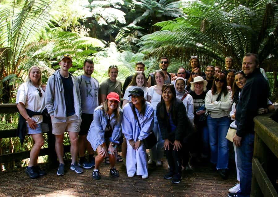 From Melbourne: Great Ocean Road & 12 Apostles Full-Day Tour - A quick wildlife-friendly stop: short, but potentially exciting