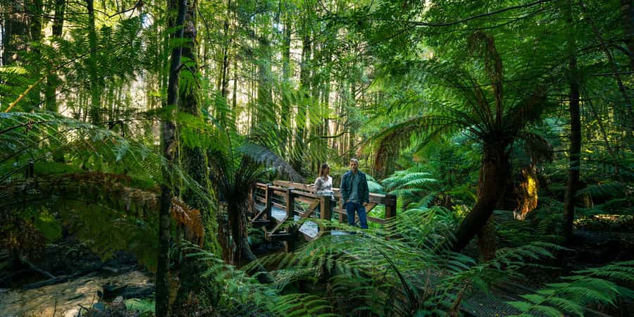 From Melbourne: Great Ocean Road & 12 Apostles Full-Day Tour - The “inland roads” return: small-town scenery and a chance to unwind