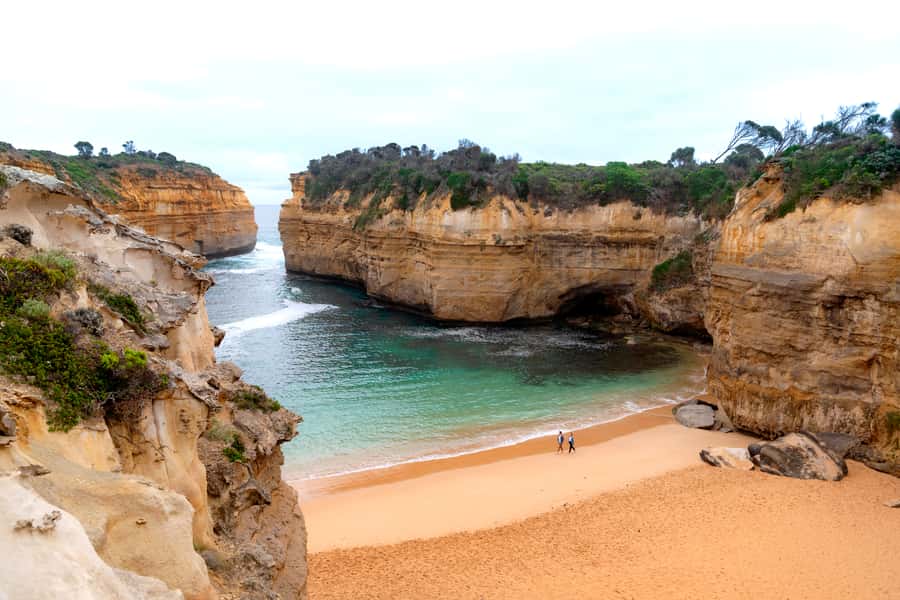 From Melbourne: Great Ocean Road, 12 Apostles & Koalas - Maits Rest rainforest walk: the stop that resets your brain