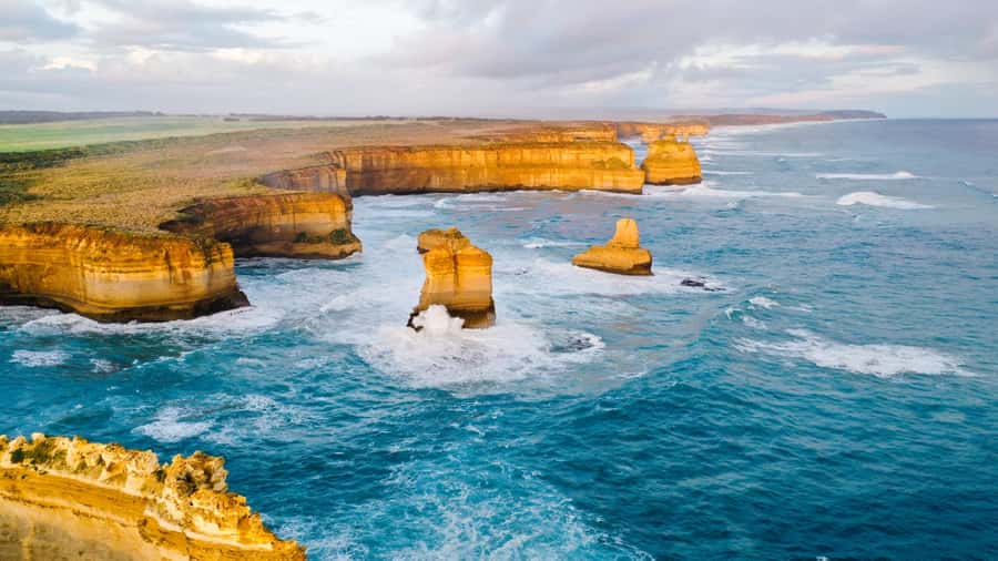 From Melbourne: Great Ocean Road Day Tour - Wildlife Spotting: The Fun Part You Can Actually Influence