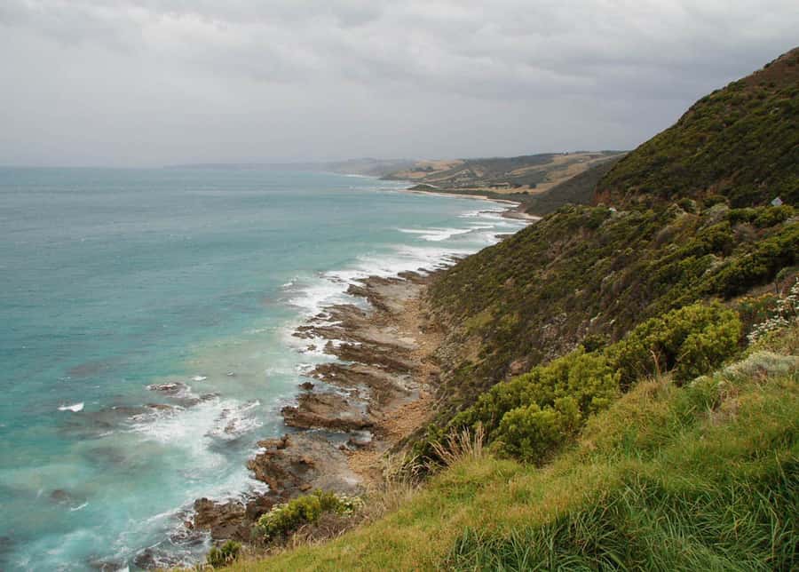 From Melbourne: Great Ocean Road Day Tour - How 11 Hours and a Medium Group Affects Your Day