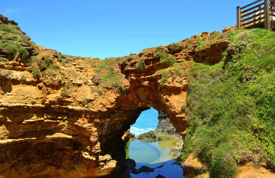 From Melbourne: Great Ocean Road Day Trip with Dinner - Maits Rest Rainforest Walk: a slower reset between the cliffs