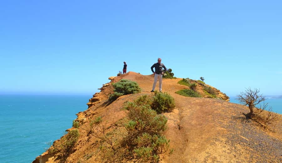 From Melbourne: Great Ocean Road Day Trip with Dinner - The Grotto and London Bridge: quick walks that pay off