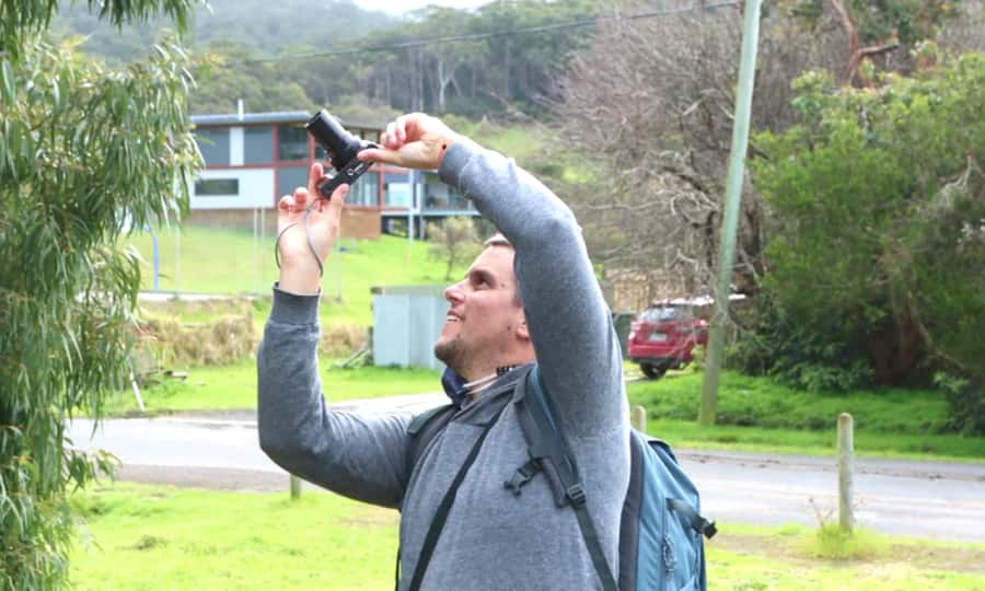 From Melbourne: Great Ocean Road Full-Day Sunset Tour - Key highlights to look for