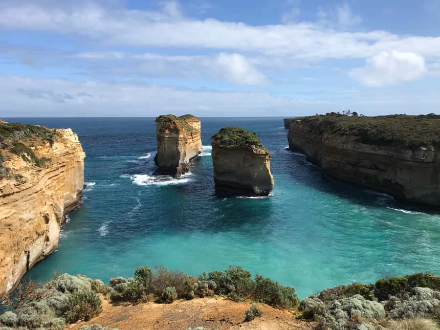 From Melbourne: Great Ocean Road Premium Tour in Reverse - Great Otway National Park: guided rainforest walk and wildlife viewing