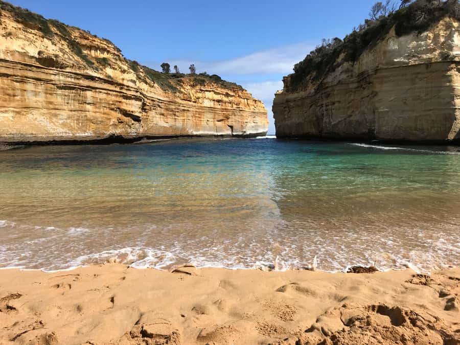 From Melbourne: Great Ocean Road Premium Tour in Reverse - Apollo Bay lunch break, beach time, and wildlife spotting momentum