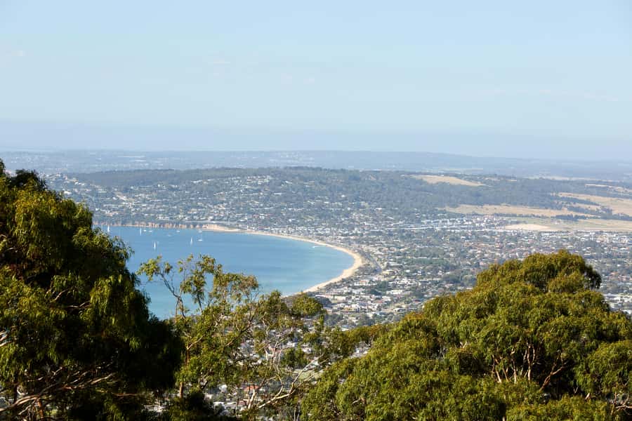 From Melbourne: Mornington Peninsula Food & Wine Taste Trail - St. Andrews Beach Brewery Beer Paddle: The Most Fun Stop of the Day