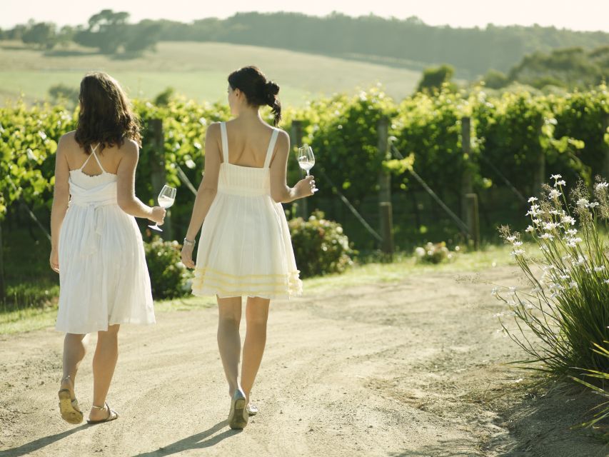 From Melbourne: Mornington Peninsula Food & Wine Taste Trail - Arthurs Seat and Murrays Lookout: Clifftop Views That Justify the Drive