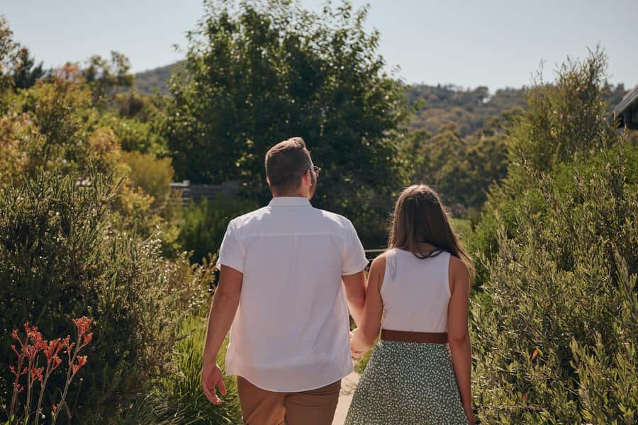 From Melbourne: Mornington Peninsula Hop-On-Hop-Off Bus - The price question: $65 and what you actually get